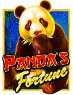 ค้นหาเสน่ห์แห่งประวัติ พนัน บอล ที่คุณควรรู้