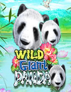 รีวิวเกมส์ 88 ทดลองเล่น ลุ้นโชคกับ Joker Gaming